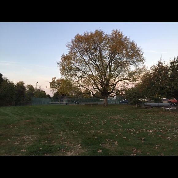 Meet the Posher - Picture 1 of 1
